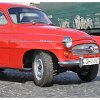 skoda (108)